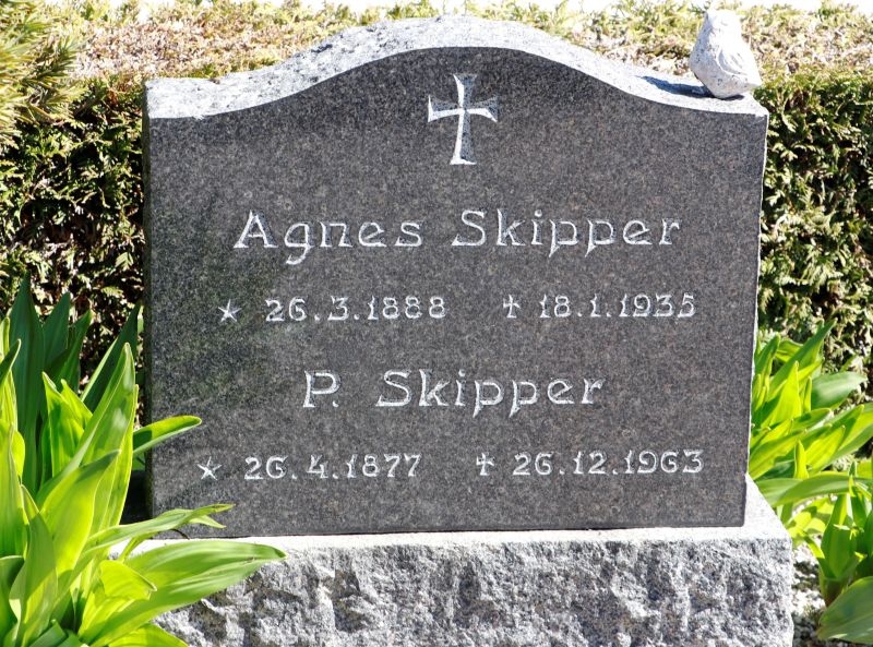 P. Skipper.JPG